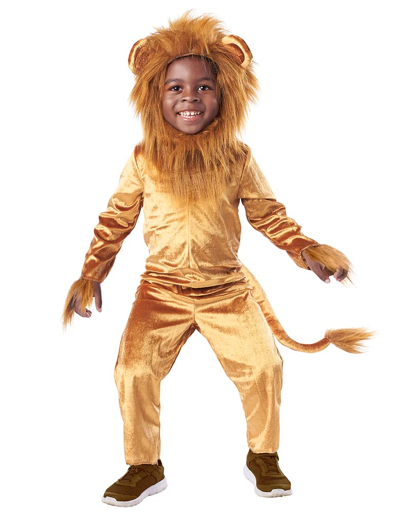 Halloween Lion Costume