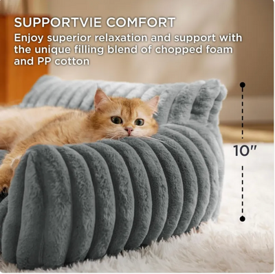 Cute Cat Sofa